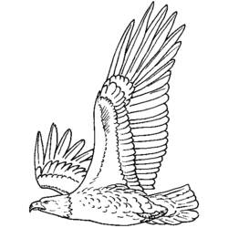 Раскраска: орел (Животные) #280 - Бесплатные раскраски для печати