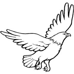 Раскраска: орел (Животные) #284 - Бесплатные раскраски для печати