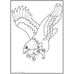 Раскраска: орел (Животные) #290 - Бесплатные раскраски для печати