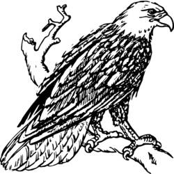 Раскраска: орел (Животные) #292 - Бесплатные раскраски для печати