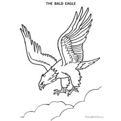 Раскраска: орел (Животные) #293 - Бесплатные раскраски для печати