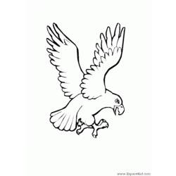 Раскраска: орел (Животные) #303 - Бесплатные раскраски для печати