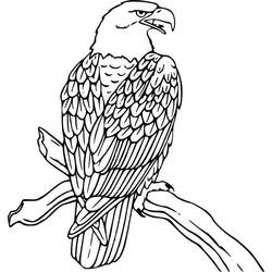 Раскраска: орел (Животные) #308 - Бесплатные раскраски для печати