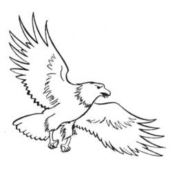 Раскраска: орел (Животные) #318 - Бесплатные раскраски для печати