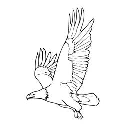 Раскраска: орел (Животные) #329 - Бесплатные раскраски для печати