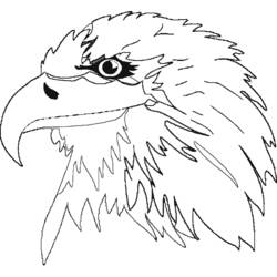 Раскраска: орел (Животные) #341 - Бесплатные раскраски для печати
