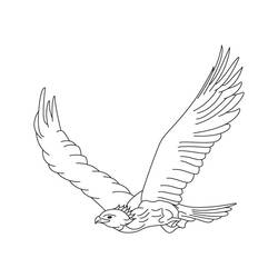 Раскраска: орел (Животные) #353 - Бесплатные раскраски для печати