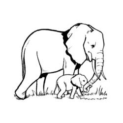 Раскраска: слон (Животные) #6300 - Бесплатные раскраски для печати