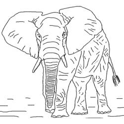 Раскраска: слон (Животные) #6306 - Бесплатные раскраски для печати
