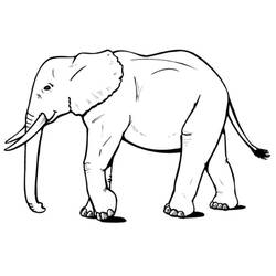 Раскраска: слон (Животные) #6310 - Бесплатные раскраски для печати