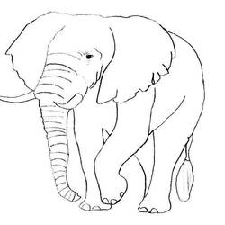 Раскраска: слон (Животные) #6316 - Бесплатные раскраски для печати