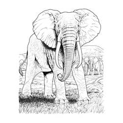 Раскраска: слон (Животные) #6395 - Бесплатные раскраски для печати