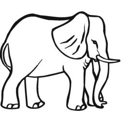 Раскраска: слон (Животные) #6401 - Бесплатные раскраски для печати