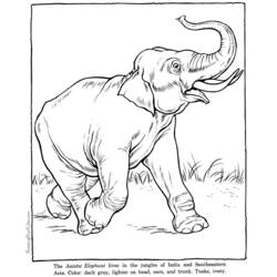 Раскраска: слон (Животные) #6418 - Бесплатные раскраски для печати