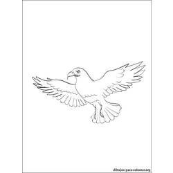 Раскраска: сокол (Животные) #6842 - Бесплатные раскраски для печати