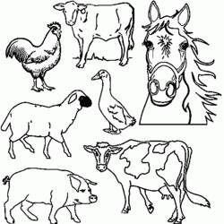 Раскраска: Сельскохозяйственные животные (Животные) #21427 - Бесплатные раскраски для печати