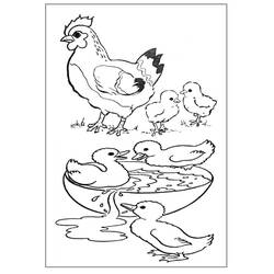 Раскраска: Сельскохозяйственные животные (Животные) #21440 - Бесплатные раскраски для печати