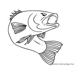 Раскраска: рыба (Животные) #17040 - Бесплатные раскраски для печати