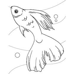 Раскраска: рыба (Животные) #17043 - Бесплатные раскраски для печати