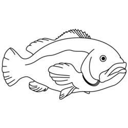 Раскраска: рыба (Животные) #17124 - Бесплатные раскраски для печати