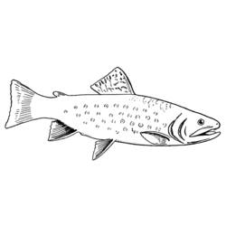 Раскраска: рыба (Животные) #17136 - Бесплатные раскраски для печати