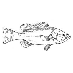 Раскраска: рыба (Животные) #17170 - Бесплатные раскраски для печати