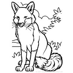Раскраска: лисица (Животные) #14965 - Бесплатные раскраски для печати