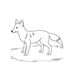 Раскраска: лисица (Животные) #14970 - Бесплатные раскраски для печати