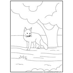 Раскраска: лисица (Животные) #15021 - Бесплатные раскраски для печати