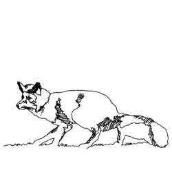 Раскраска: лисица (Животные) #15051 - Бесплатные раскраски для печати