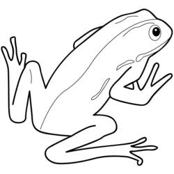 Раскраска: лягушка (Животные) #7596 - Бесплатные раскраски для печати