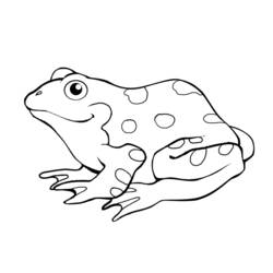 Раскраски: лягушка - Бесплатные раскраски для печати