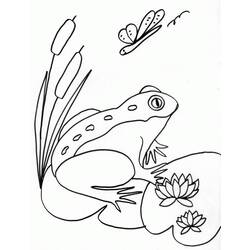 Раскраска: лягушка (Животные) #7606 - Бесплатные раскраски для печати