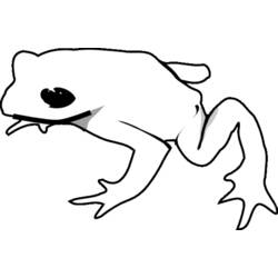 Раскраска: лягушка (Животные) #7614 - Бесплатные раскраски для печати