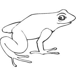 Раскраска: лягушка (Животные) #7629 - Бесплатные раскраски для печати