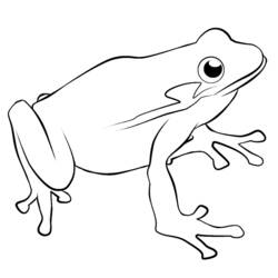 Раскраска: лягушка (Животные) #7642 - Бесплатные раскраски для печати