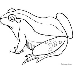 Раскраска: лягушка (Животные) #7655 - Бесплатные раскраски для печати
