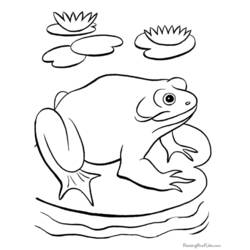 Раскраска: лягушка (Животные) #7661 - Бесплатные раскраски для печати