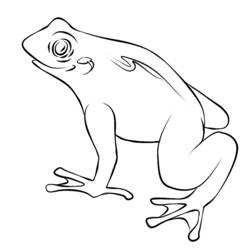 Раскраска: лягушка (Животные) #7665 - Бесплатные раскраски для печати
