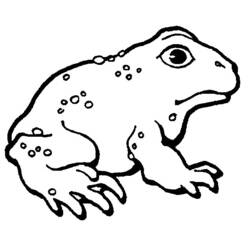 Раскраска: лягушка (Животные) #7688 - Бесплатные раскраски для печати