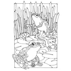 Раскраска: лягушка (Животные) #7716 - Бесплатные раскраски для печати