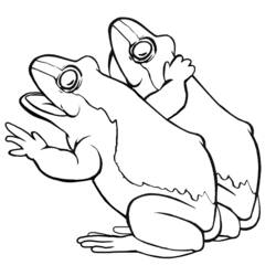 Раскраска: лягушка (Животные) #7717 - Бесплатные раскраски для печати