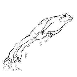 Раскраска: лягушка (Животные) #7718 - Бесплатные раскраски для печати
