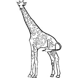 Раскраска: жираф (Животные) #7219 - Бесплатные раскраски для печати