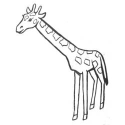 Раскраска: жираф (Животные) #7230 - Бесплатные раскраски для печати