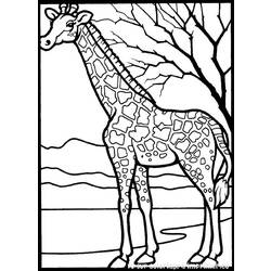 Раскраска: жираф (Животные) #7231 - Бесплатные раскраски для печати