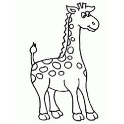 Раскраска: жираф (Животные) #7232 - Бесплатные раскраски для печати