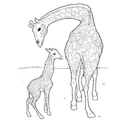 Раскраска: жираф (Животные) #7238 - Бесплатные раскраски для печати