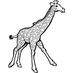 Раскраска: жираф (Животные) #7246 - Бесплатные раскраски для печати