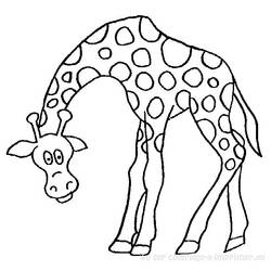 Раскраска: жираф (Животные) #7250 - Бесплатные раскраски для печати